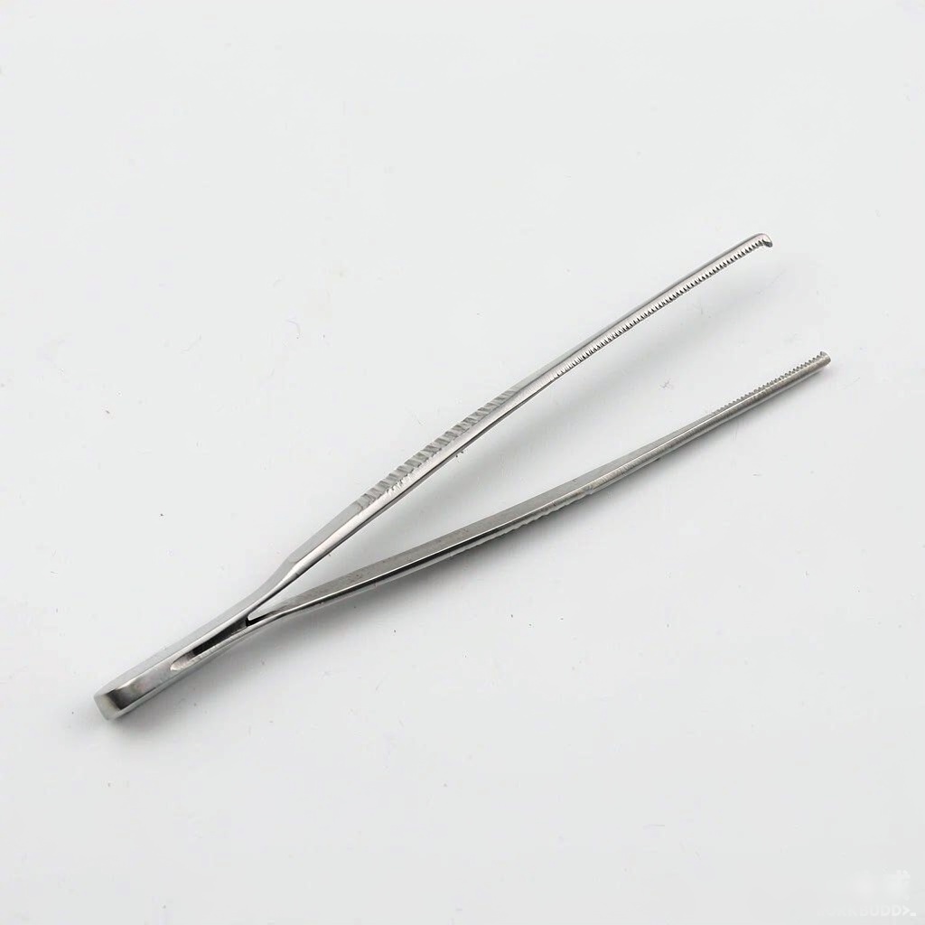 Adson Tissue Forceps with Teeth (1x2, Stainless Steel)