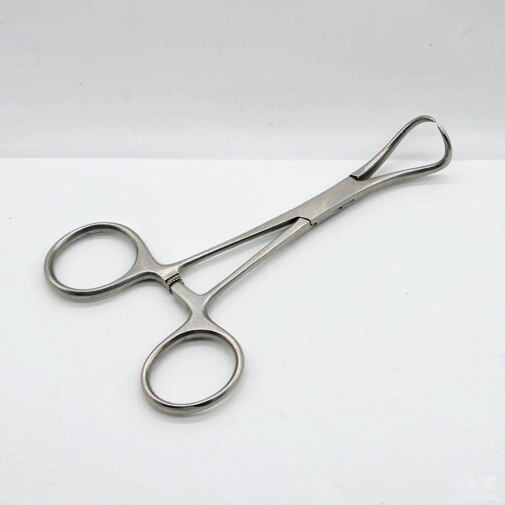 Backhaus Towel Clamp Forceps (Stainless Steel)