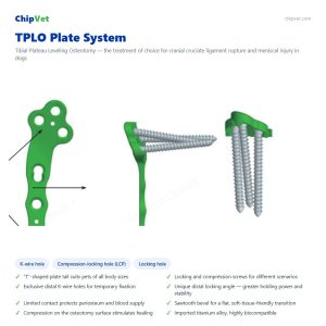 TPLO Plate System (Tibial Plateau Leveling Osteotomy)
