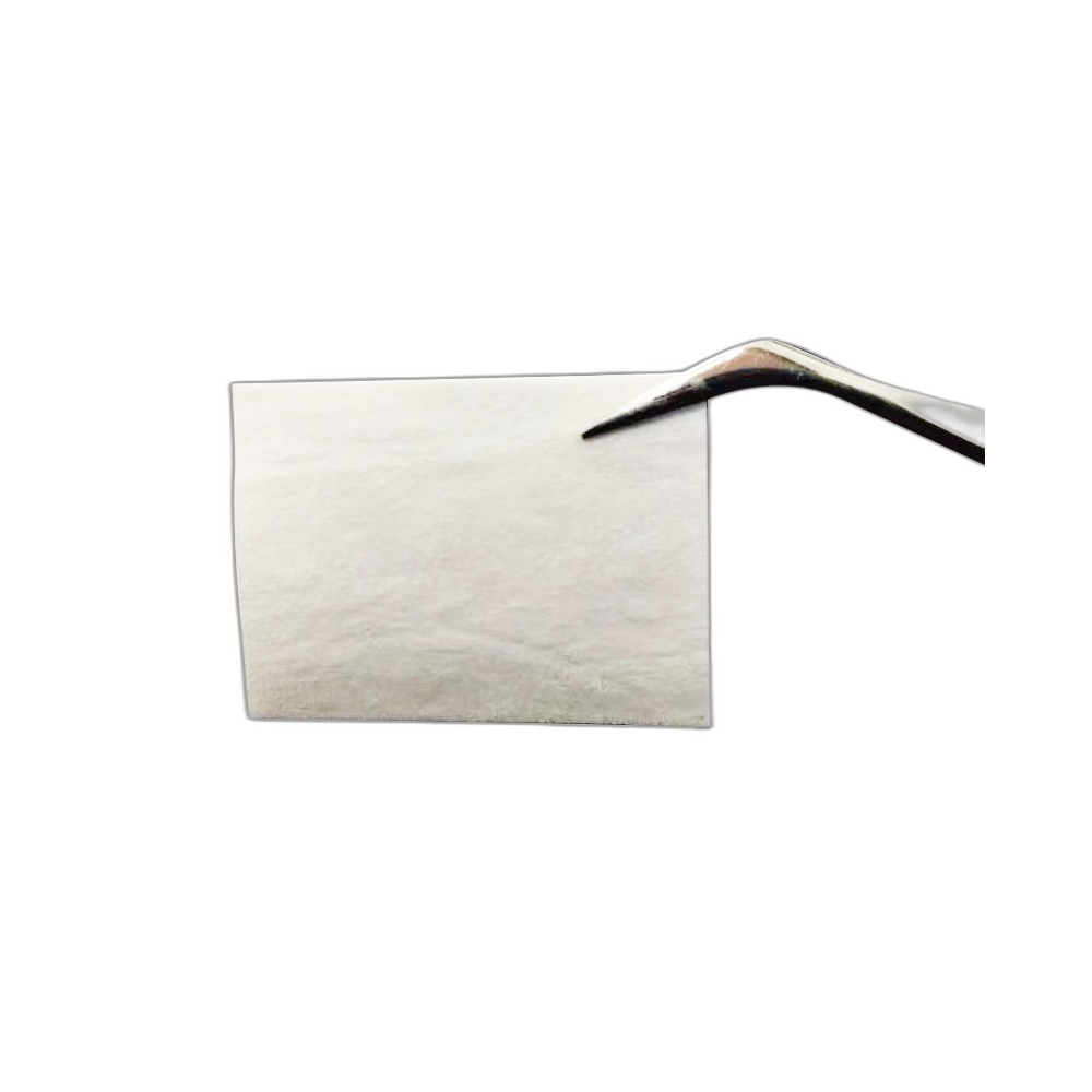 Veterinary Tissue Repair Patch (Acellular Dermal Matrix)